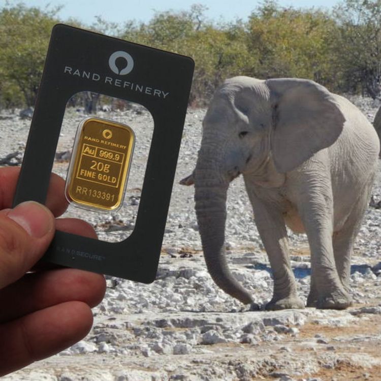 20g Goldbarren der Elefantenserie der Rand Refinery