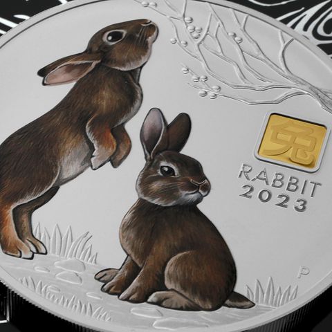 Lunar III, Silbermünze mit Privy Mark, Hase, 2023