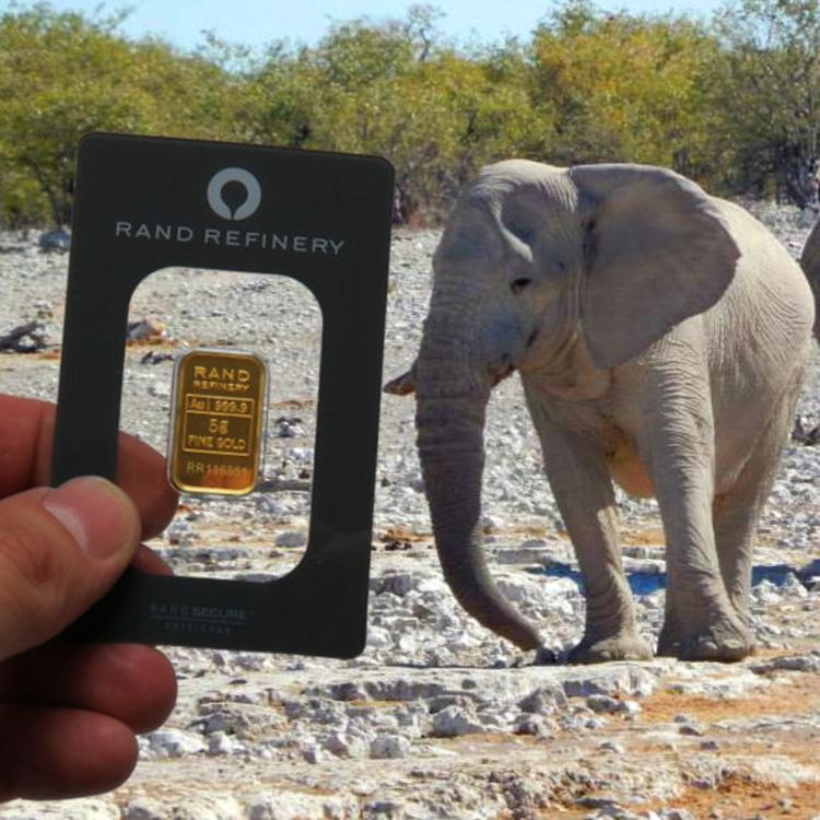 5g Elefantengoldbarren aus Südafrika
