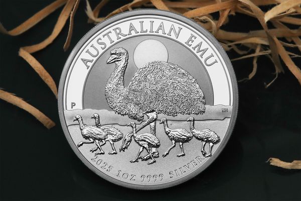 Emu mit Jungtieren auf der Ausgabe 2025