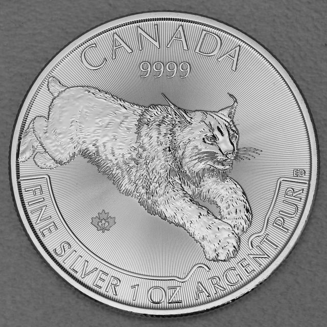 Silbermünze 1oz Predator Kanada 2017 Luchs / Lynx
