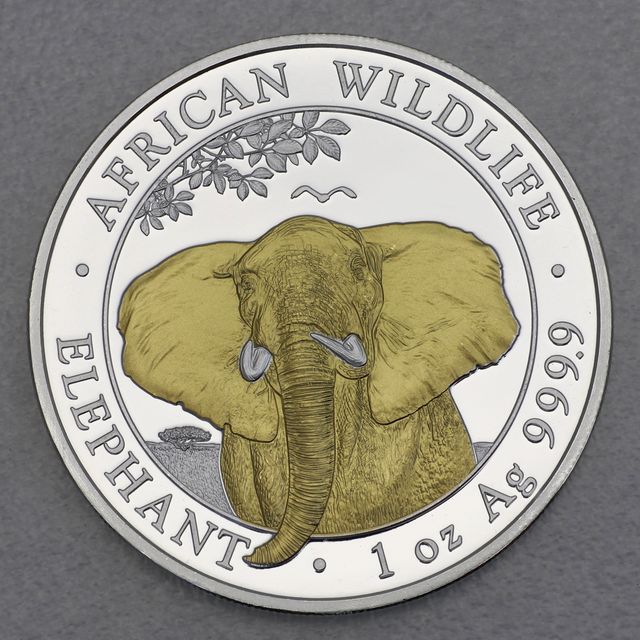 Silbermünze Somalia Elefant African Wildlife 2021 in teilvergoldeter Version