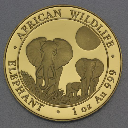 Goldmünze Somalia Elefant 2014