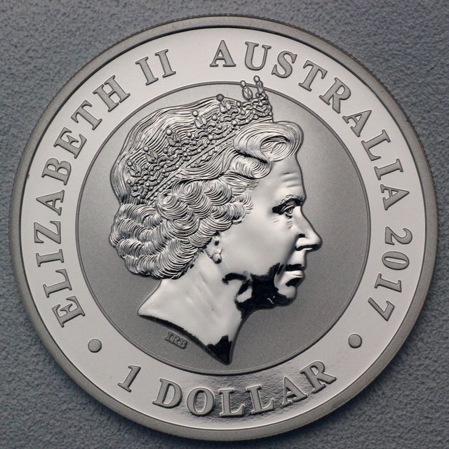 Australian Silver Swan 2017 Kopfseite