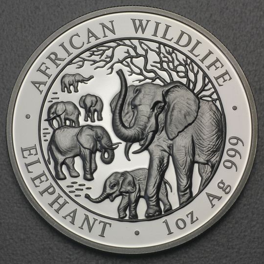 Somalia Elefant Silbermünze African Wildlife 2008