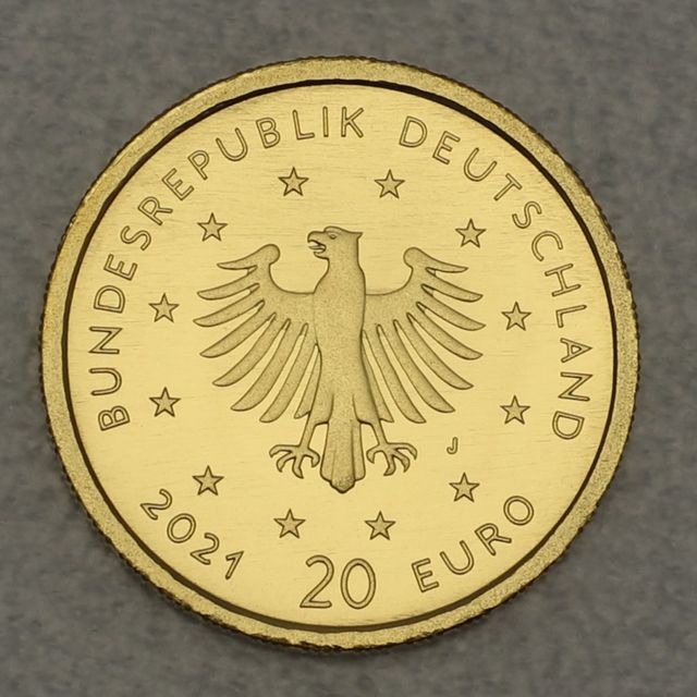 20 Euro Goldmünze 2021 Schwarzspecht