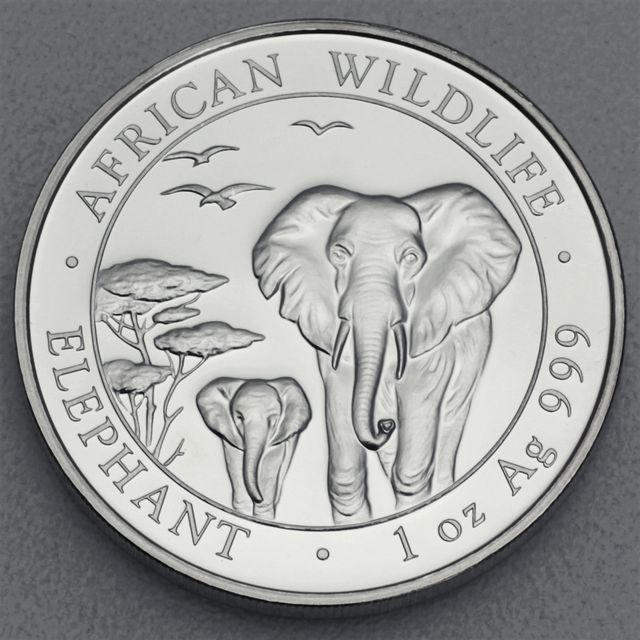 Silbermünze Somalia Elefant African Wildlife 2015
