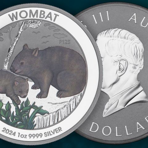 Silbermünze 1oz Australian Wombat 2024 koloriert