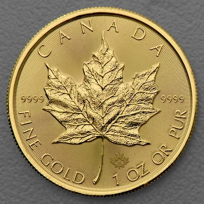 1oz Maple Leaf Goldmünze 2024