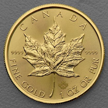 1oz Maple Leaf Goldmünze 2024