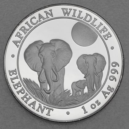 Somalia Elefant Silbermünzen