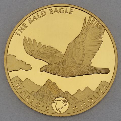 Goldmünze 1oz World Wildlife Kongo 2021 - Bald Eagle / Weißkopfseeadler