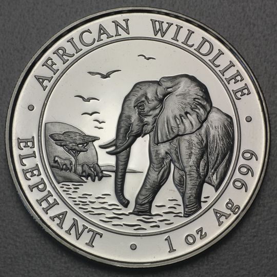 Somalia Elefant Silbermünze 2010