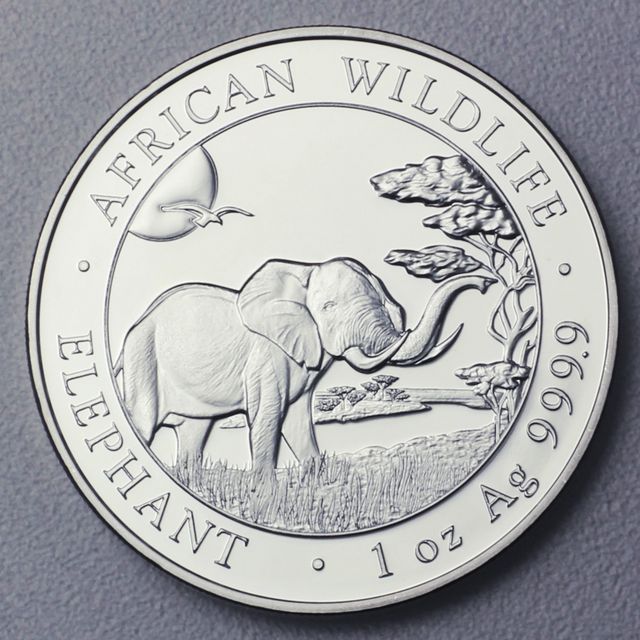 Silbermünze Somalia Elefant African Wildlife 2019
