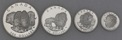 Platinmünzen Canada Wildlife Serie 1999 Muskox / Moschusochse 1oz, 1/2oz, 1/4oz, 1/10oz