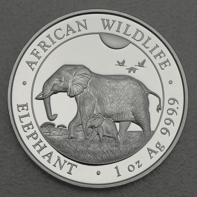 Silbermünze Somalia Elefant African Wildlife 2022