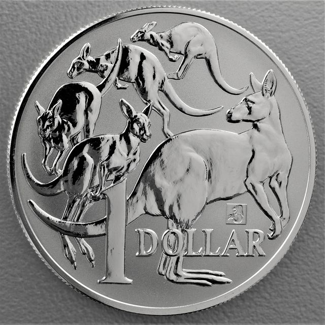 Känguru Silbermünze Australien 2019