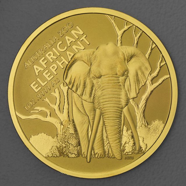 Goldmünze 1oz Australia Zoo 2022 - Elefant
