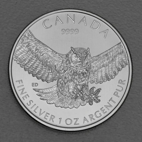 Silbermünze 1oz Birds of Prey 2015 Great Horned Owl
