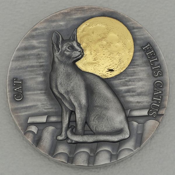 Silbermünze 1/2oz Ghana 2021 2 Cedis "Wildlife in the Moonlight" - Hauskatze