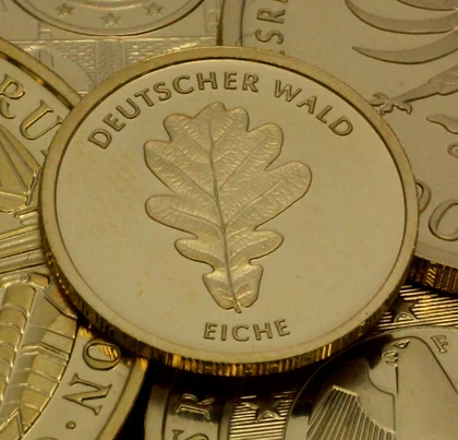20 Euro Goldmünze "Eiche" des Jahrgangs 2010