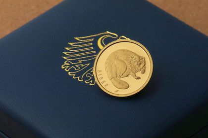 20 Euro Goldmünze Goldeuro Biber 2024 aus BRD