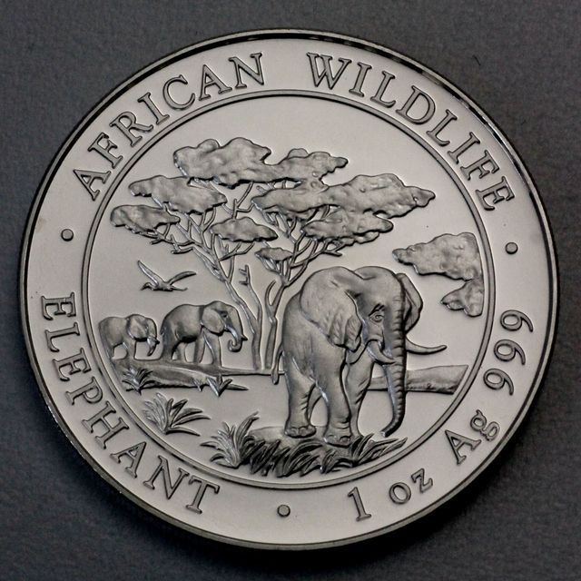 Silbermünze Somalia Elefant African Wildlife 2012
