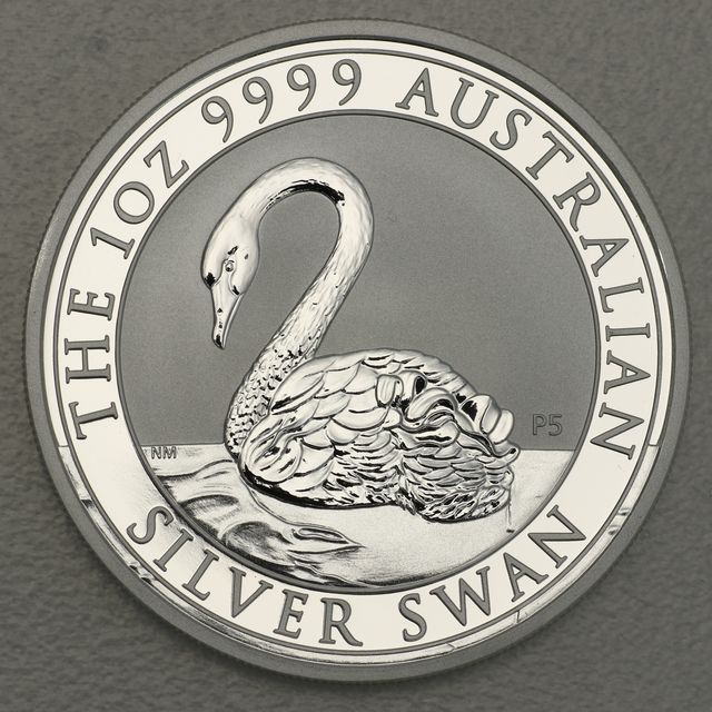 Australian Silver Swan 2021