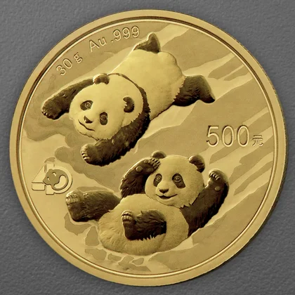 Goldmünze China Panda, 30g, 2022