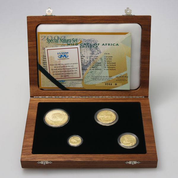 Natura Wildcats of Africa Set 2002 Gepard in Schatulle