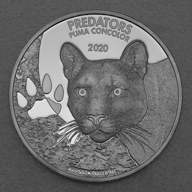 Silbermünze 1oz Predators Congo - 2020 Puma