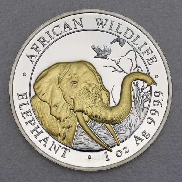 Silbermünze Somalia Elefant African Wildlife 2018 in teilvergoldeter Version