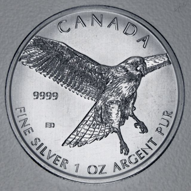 Silbermünze 1oz Birds of Prey 2015 Red-Tailed Hawk