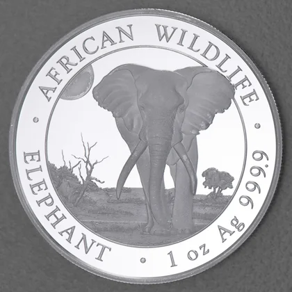 1oz Silbermünze Somalia Elefant 2025