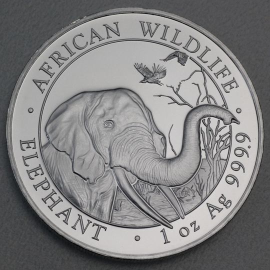 Somalia Elefant Silbermünze 2018