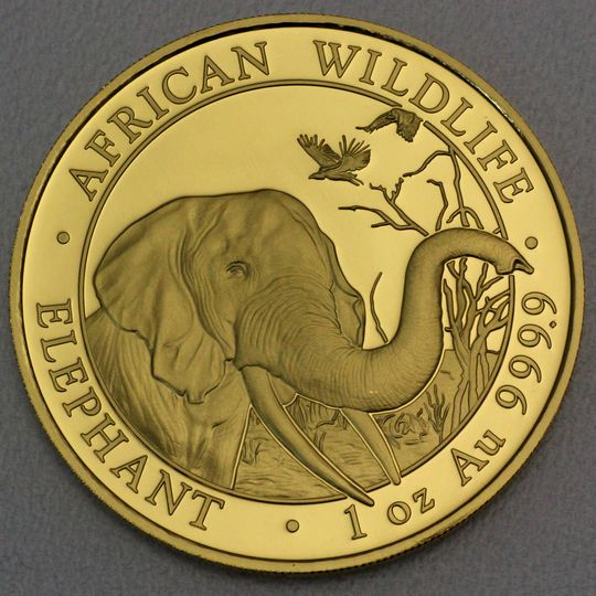 Goldmünze Somalia Elefant 2018