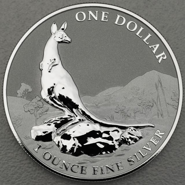 Känguru Silbermünze Australien 2013