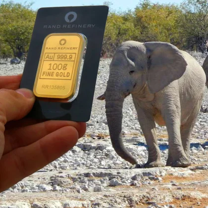 100g Elefantenbarren aus Feingold