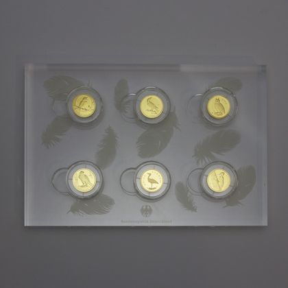 Plexiglas-Aufsteller zur Serie "Heimische Vögel"