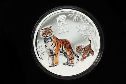 Silbermünze Tiger (PP und koloriert)