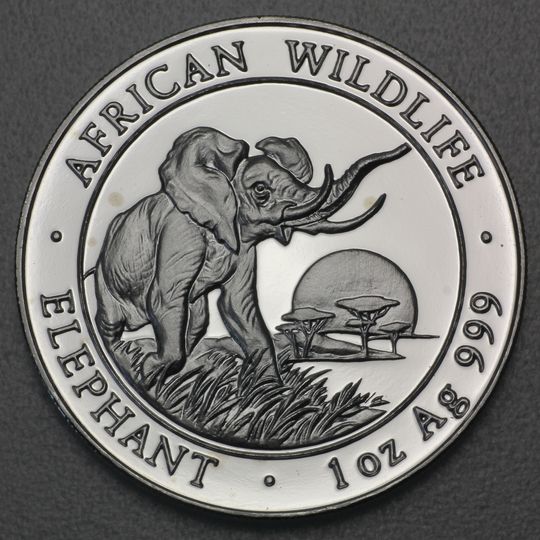 Somalia Elefant Silbermünze 2009
