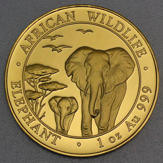 Goldmünze Somalia Elefant 2015
