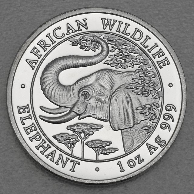 Silbermünze Somalia Elefant African Wildlife 2005