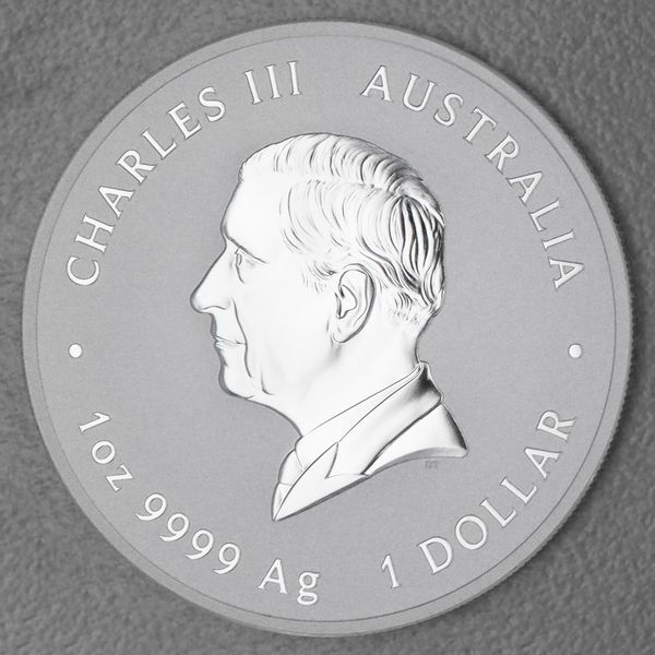 Silbermünze 1oz Lunar Serie Rückseite - King Charles III. ab 2025