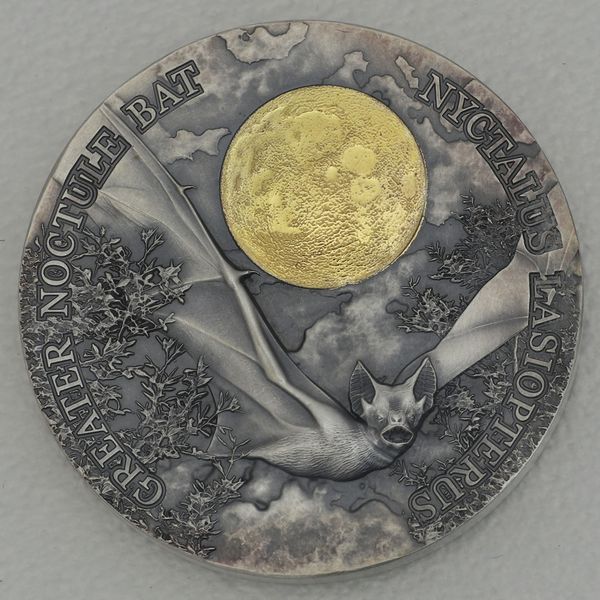 Silbermünze 1/2oz Ghana 2021 2 Cedis "Wildlife in the Moonlight" - Fledermaus