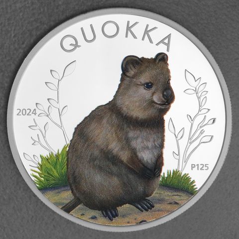 Silbermünze 1oz Australian Quokka 2024 koloriert