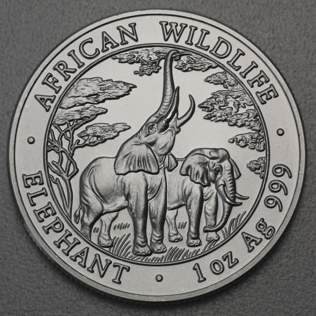 Silbermünze 1oz Sambia Elefant 2003