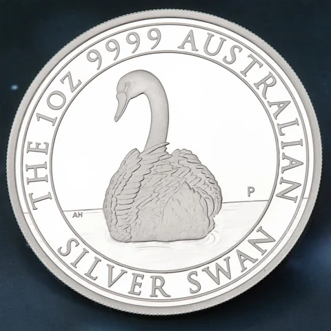 Australian Silver Swan 2023