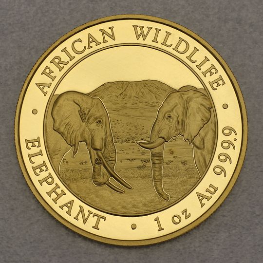 Goldmünze Somalia Elefant 2020