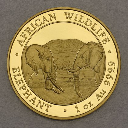 Goldmünze Somalia Elefant 2020
